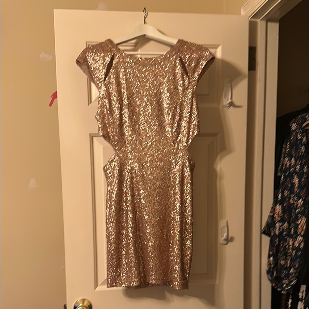Elegant Sequin Dress